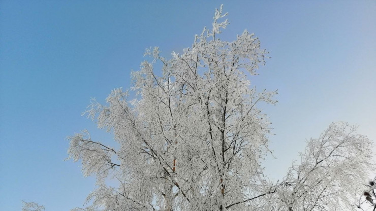 МЧС предупреждает о сильном морозе 5 января в Тверской области - новости ТИА