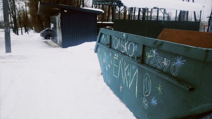 В Тверской области установили шесть "бункеров" для живых ёлок и сосен - новости ТИА