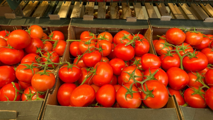 В Тверской области самым подорожавшим продуктом за неделю стали помидоры - новости ТИА