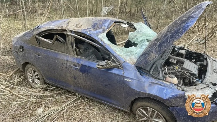 В Тверской области машина улетела в канаву, пострадали два человека - новости ТИА
