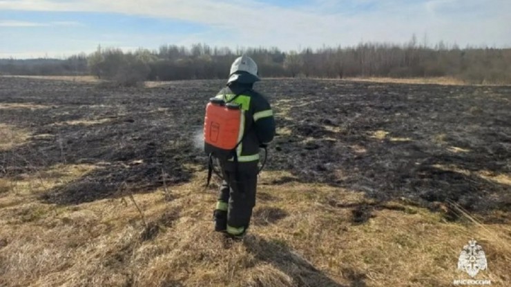 Штраф и лишение свободы: что грозит за сжигание сухой травы - новости ТИА