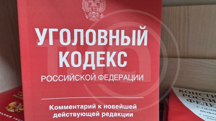 Тюремный срок и штраф до миллиона: в Госдуме хотят ужесточить наказание для дропперов - новости ТИА