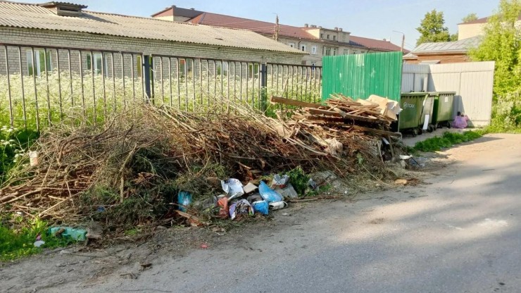 В Минприроды напомнили, что запрещено бросать в мусорные баки - новости ТИА
