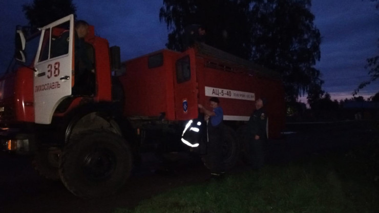 В Тверской области пожарные сняли котёнка с дерева - новости ТИА