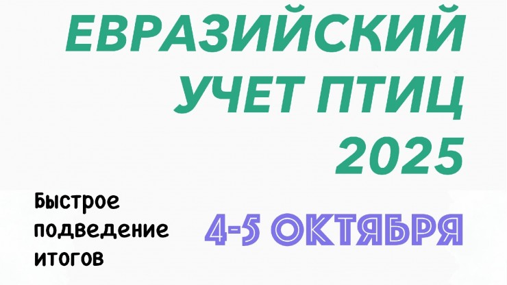 Тверским школьникам предлагают принять участие в мониторинге птиц - новости ТИА