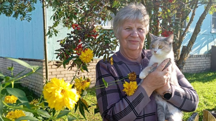Тверские зооволонтеры подвели итоги проекта "Бабушка для кошки" - новости ТИА