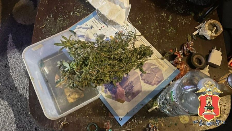 Фото: УМВД России по Тверской области