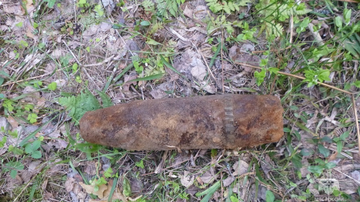 В деревне под Тверью нашли гранату и артиллерийский снаряд - новости ТИА