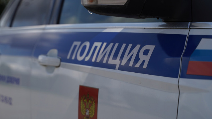 Еще шесть взрывных устройств обнаружены на опорах ЛЭП в Тверской области - новости ТИА