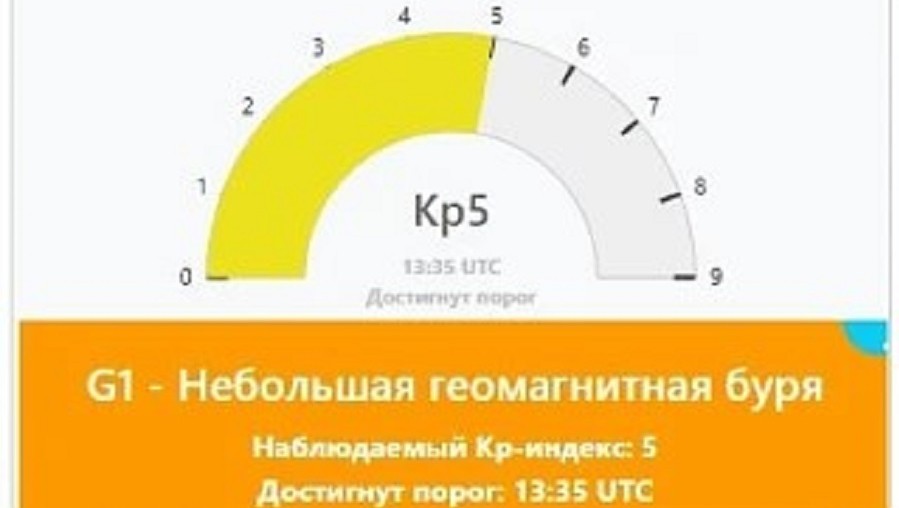 Фото: Михаил Леус
