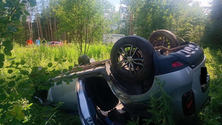 В Тверской области автомобиль опрокинулся в кювет - новости ТИА