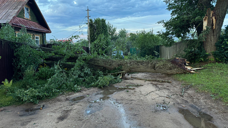 В Тверской области убирают последствия урагана - новости ТИА