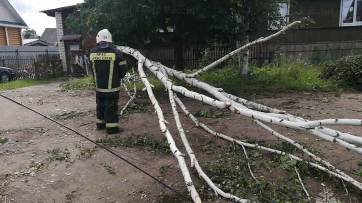 МЧС опубликовало фото последствий непогоды в трех округах Тверской области - новости ТИА