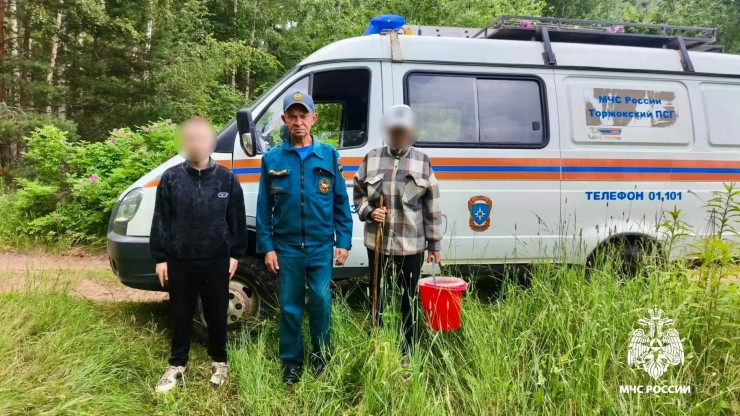 Мама и сын потерялись в тверском лесу - новости ТИА