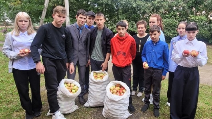 Воспитанники Нелидовской школы-интерната собрали яблоки для бойцов на СВО - новости ТИА