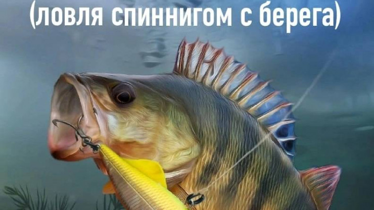 В Удомле состоится фестиваль для рыболовов "Осенний хищник" - 2022 - новости ТИА