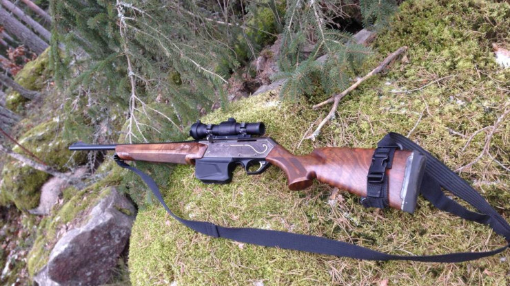 В Тверской области будут судить трёх браконьеров, застреливших несколько лосей - новости ТИА