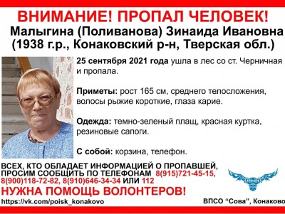 Пропавшую в лесу в Тверской области бабушку ищут уже несколько дней - Новости ТИА