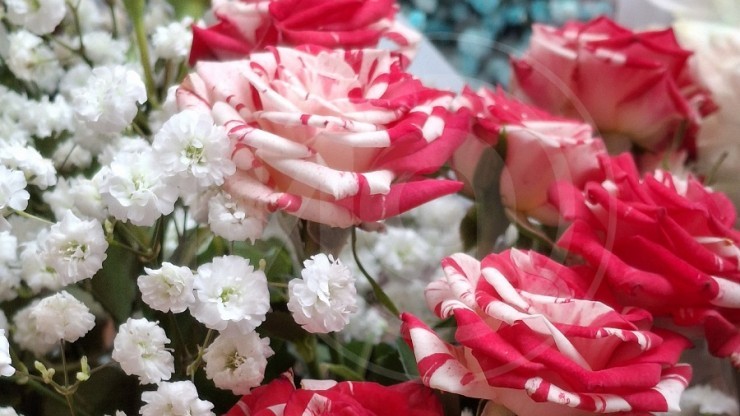 Ветеран войны из Твери отметила 104-й день рождения - новости ТИА