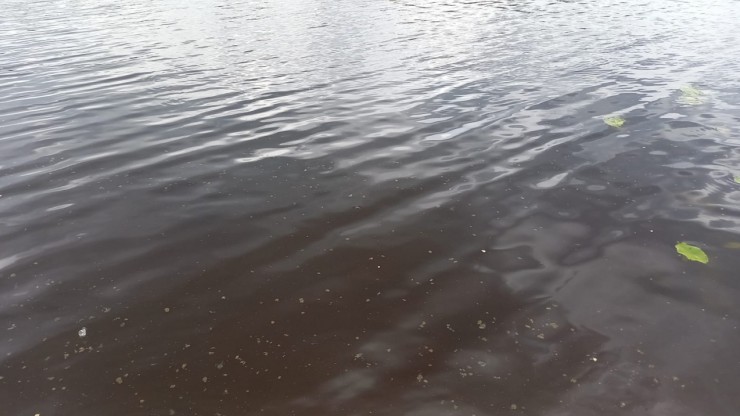 Жителям Тверской области напоминают о правилах поведения на водоемах - новости ТИА