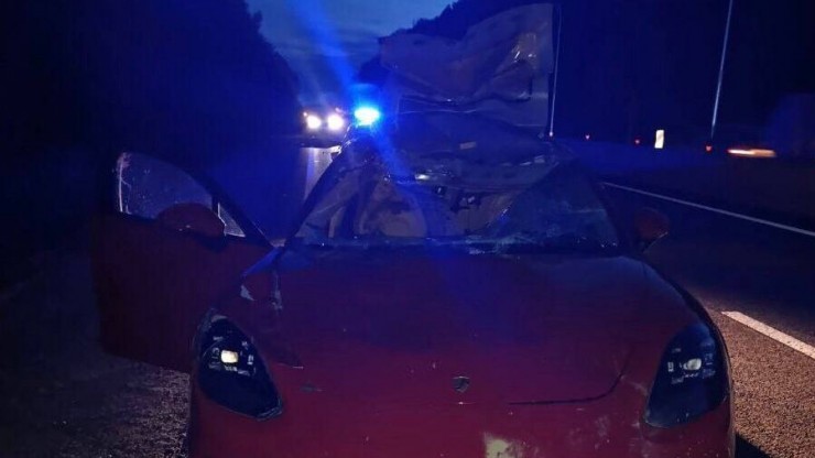 На трассе в Тверской области водитель Porsche сбил лося - новости ТИА