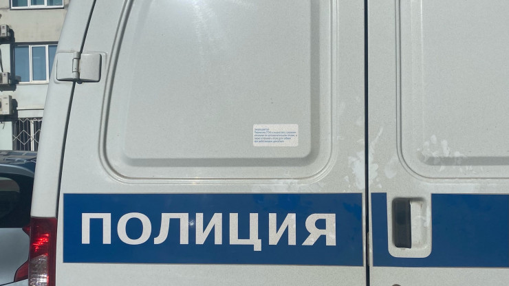 В Тверской области нашли подозреваемого в краже бензопилы и бензотриммера - новости ТИА