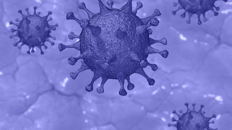 В Тверской области в селе ввели карантин из-за бешенства животных - новости ТИА