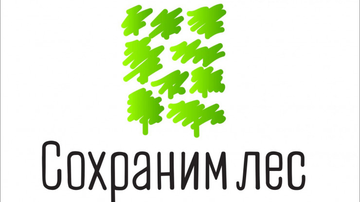В Тверской области планируется высадить 1,5 млн саженцев различных пород - новости ТИА