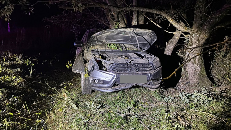 В Тверской области машина врезалась в дерево, пострадали два человека - новости ТИА