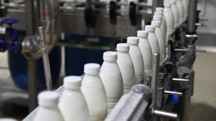 В молоке тверского производителя Роскачество обнаружило кишечную палочку - новости ТИА