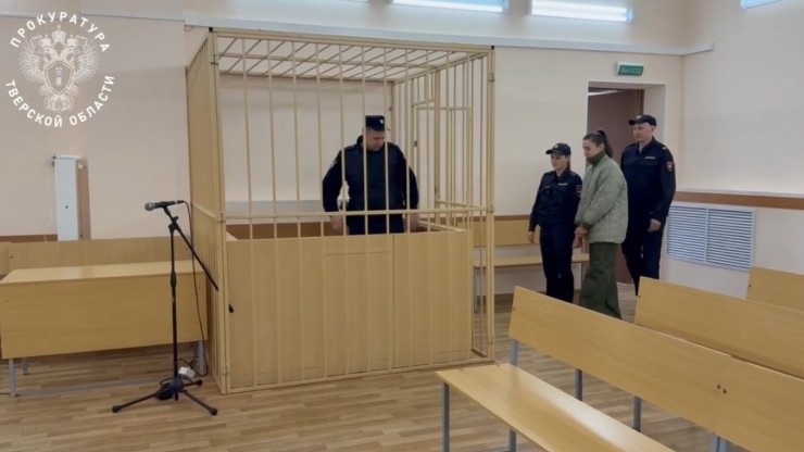 Жительницу Москвы взяли под стражу за похищение денег у матери участника СВО из Нелидово - новости ТИА