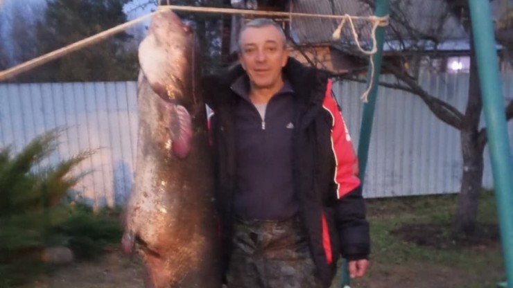 В Тверской области рыбак поймал сома выше себя ростом - новости ТИА