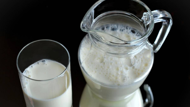 Россельхознадзор выявил нарушения в молоке у производителя из Андреапольского района - новости ТИА