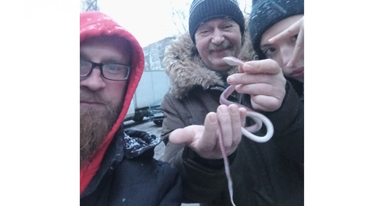 В Твери мужчина гулял со змеёй и напугал прохожих - новости ТИА