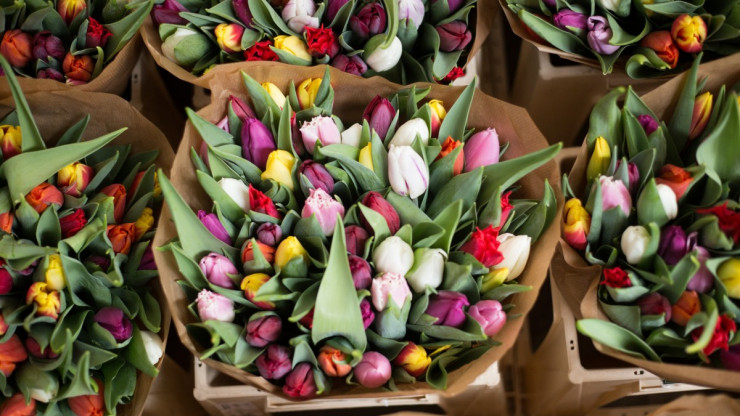 Цветы на 14 февраля: эксперты рассказали, как выбрать подходящий букет - новости ТИА