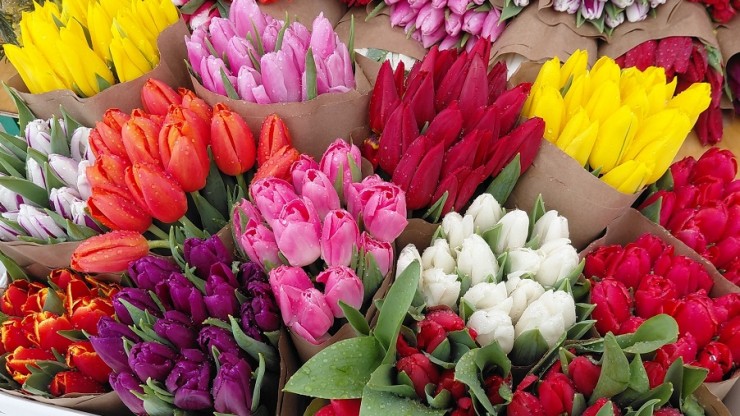 В Тверскую область на новой неделе придет теплая весна - новости ТИА