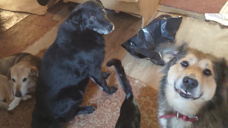 Стали известны подробности гибели волонтера от рухнувшего снега в Тверской области - новости ТИА