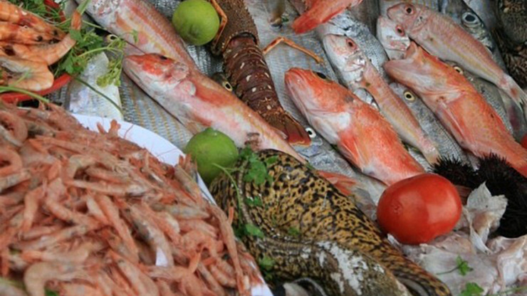 Стали известны продукты, которые сохраняют молодость - новости ТИА