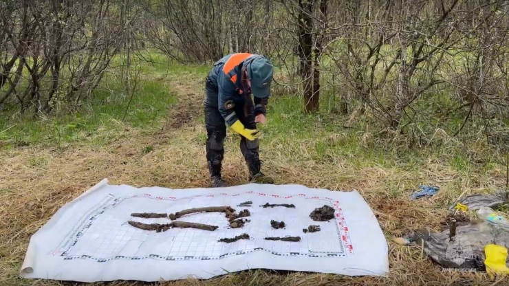 В Тверской области поисковики МЧС нашли останки 63 солдат, погибших в 1942 году - новости ТИА