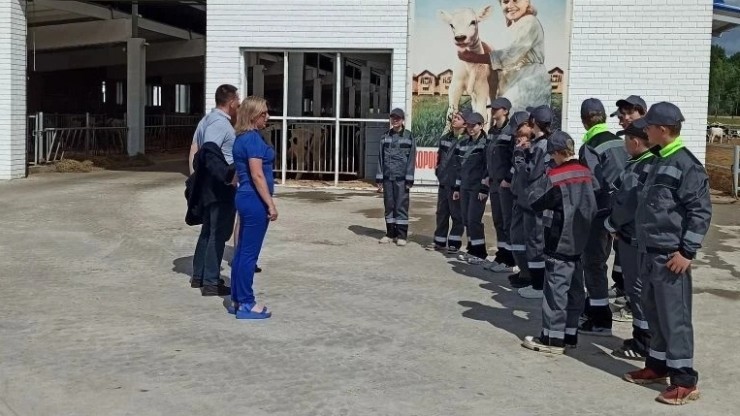 Ученики Горютинской школы проходят трудовую практику на сельхозпредприятии Тверской области - новости ТИА