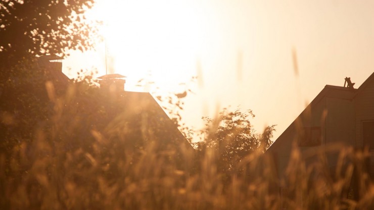 Эксперт рассказала о спаде жары и похолодании в августе - новости ТИА