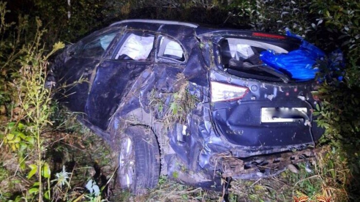 В Тверской области водитель-подросток с пассажирами превысил скорость и оказался в канаве - новости ТИА