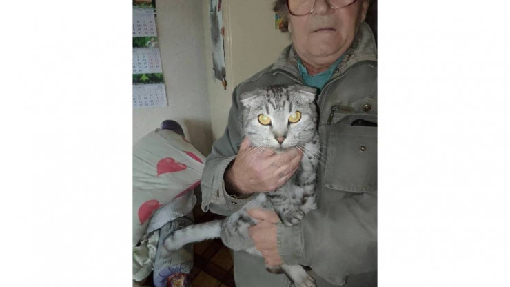 В Тверской области почти слепой пенсионер спасает бездомных кошек - новости ТИА