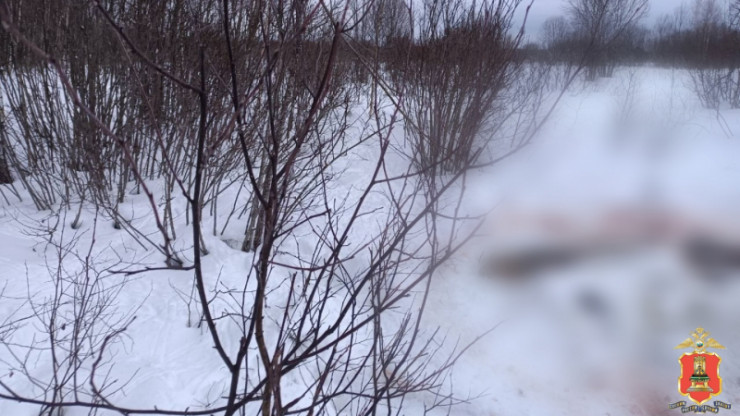 В Тверской области поймали браконьера, убившего двух лосей - новости ТИА