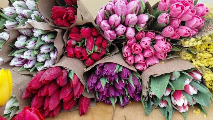 Флорист рассказала, как продлить жизнь букету тюльпанов - новости ТИА