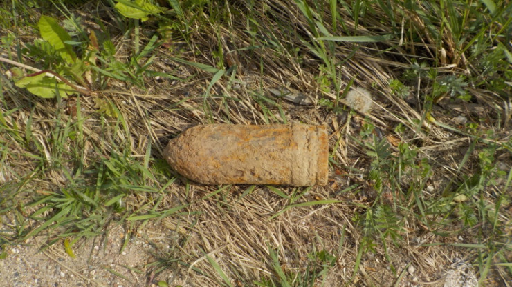 В Тверской области нашли мину и снаряд времён войны - новости ТИА