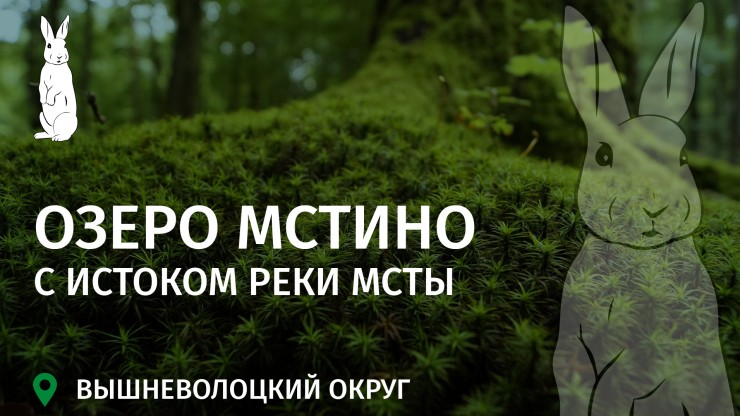 Заповедное Верхневолжье: Озеро Мстино – живое наследие Вышневолоцкой водной системы - новости ТИА