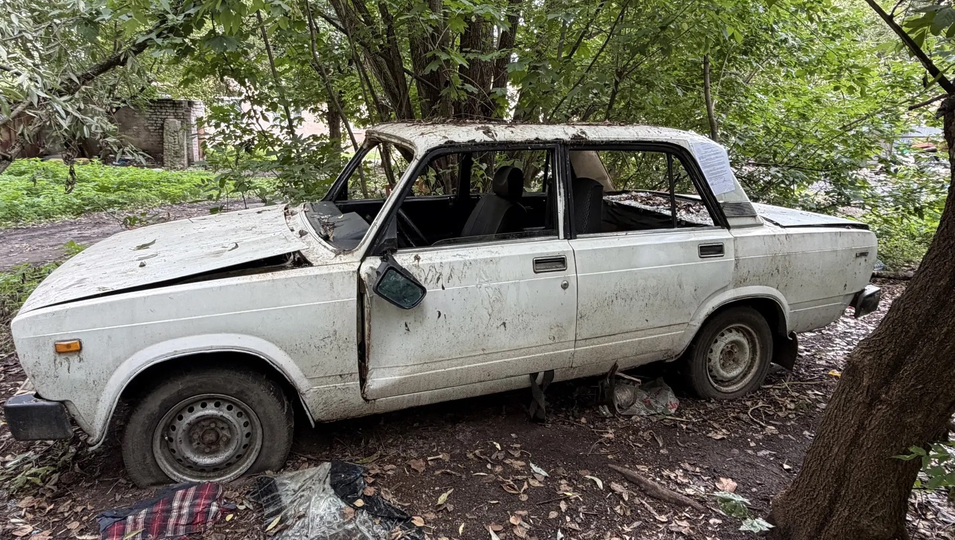 Фото: администрация Твери