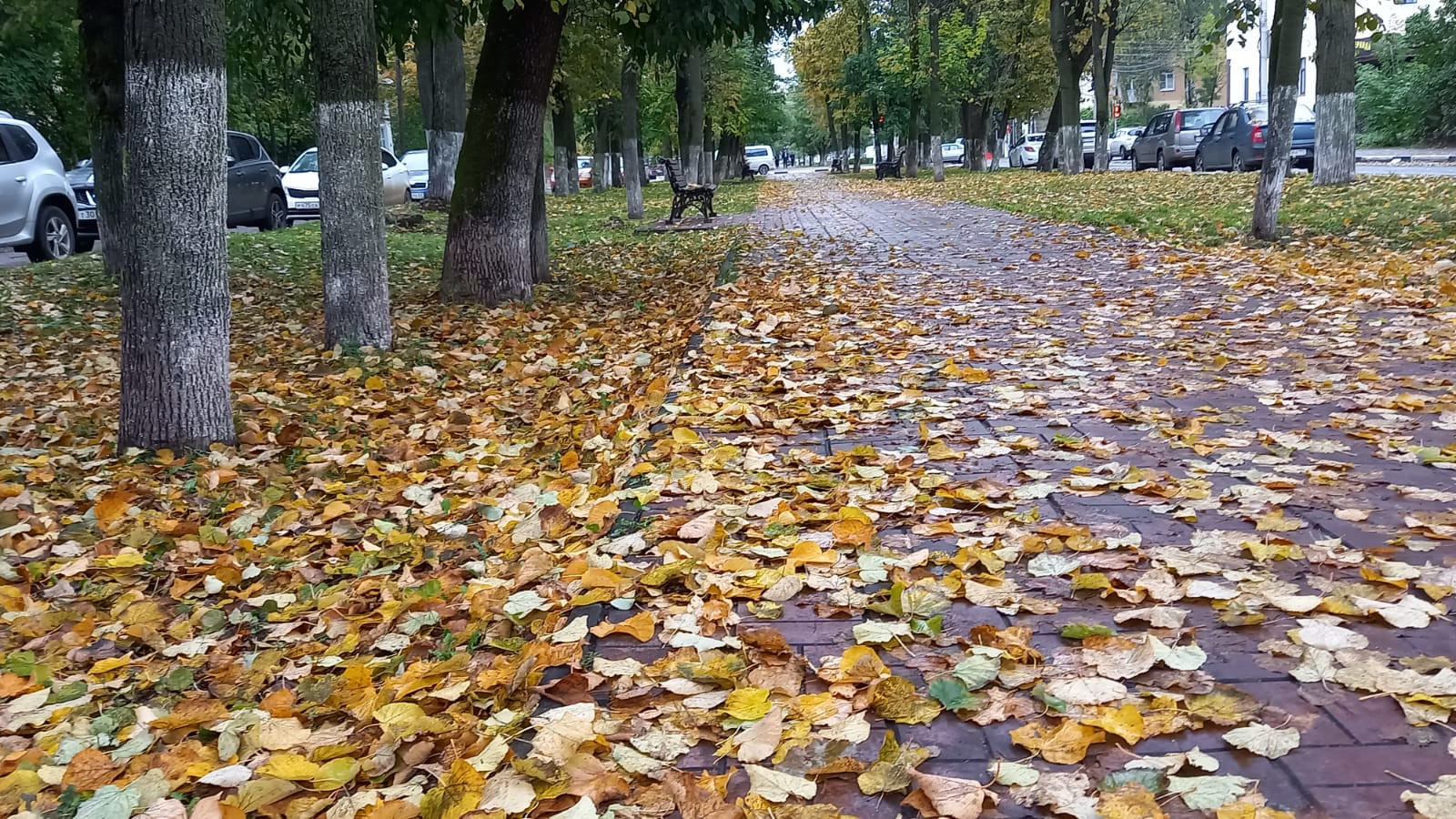 Октябрь тверь. Тверь осень. Осень октябрь. Якутск октябрь осень. Осенний репортаж в Чайковском.