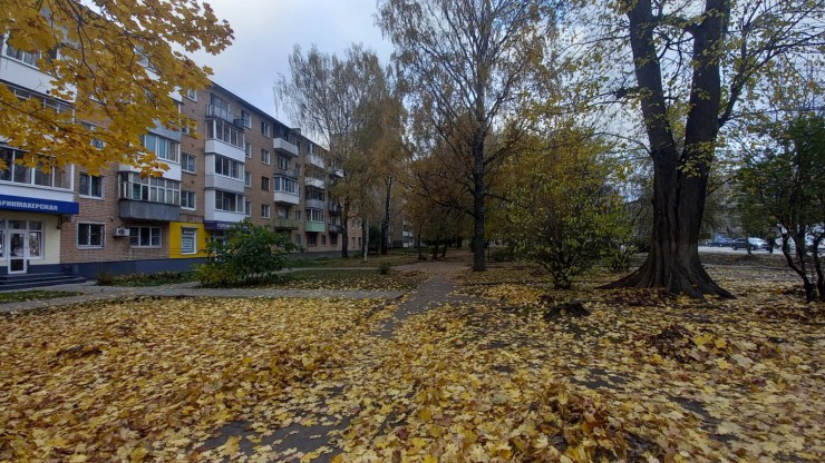 В Тверской области объявлен "желтый" уровень погодной опасности - новости ТИА